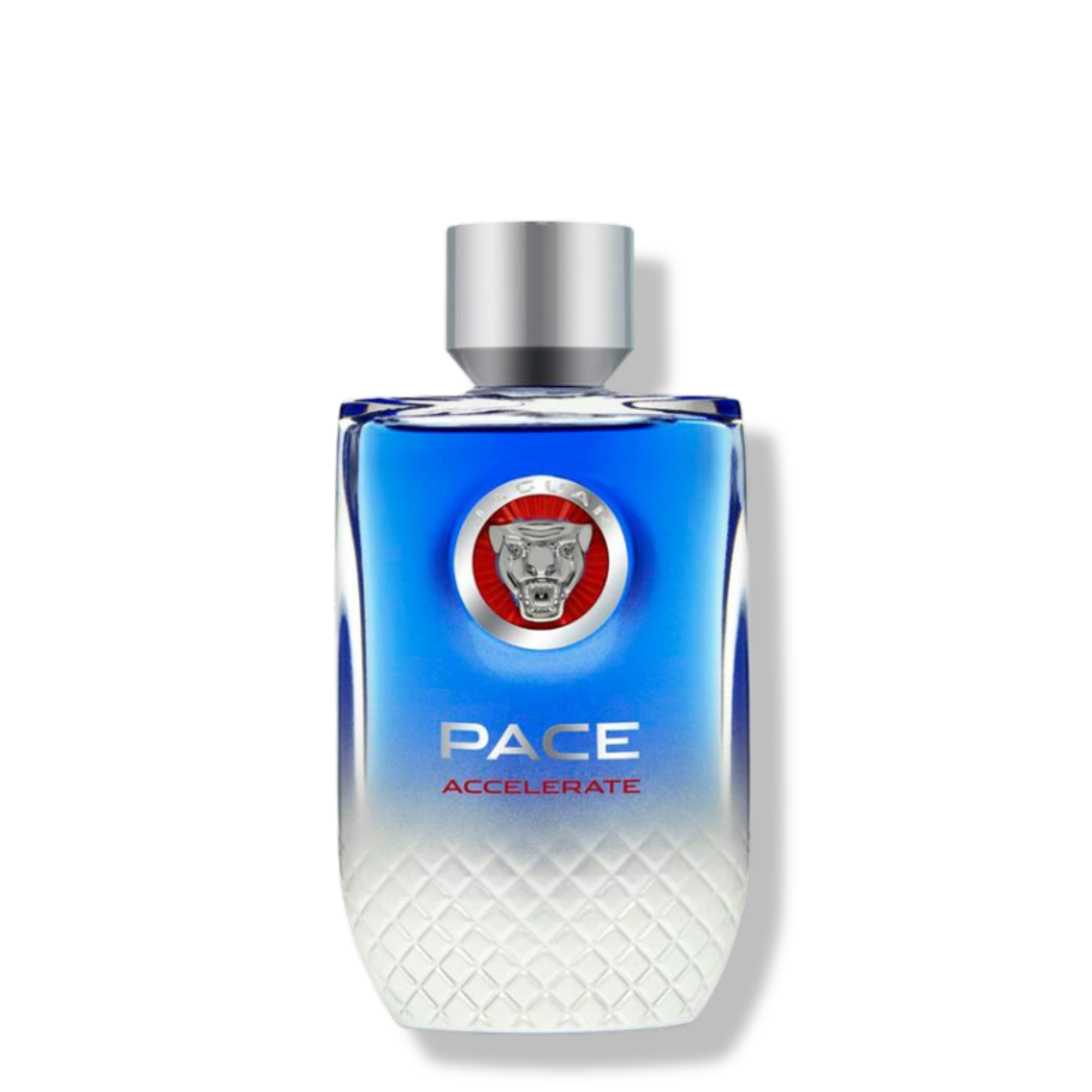 PACE ACCELERATE