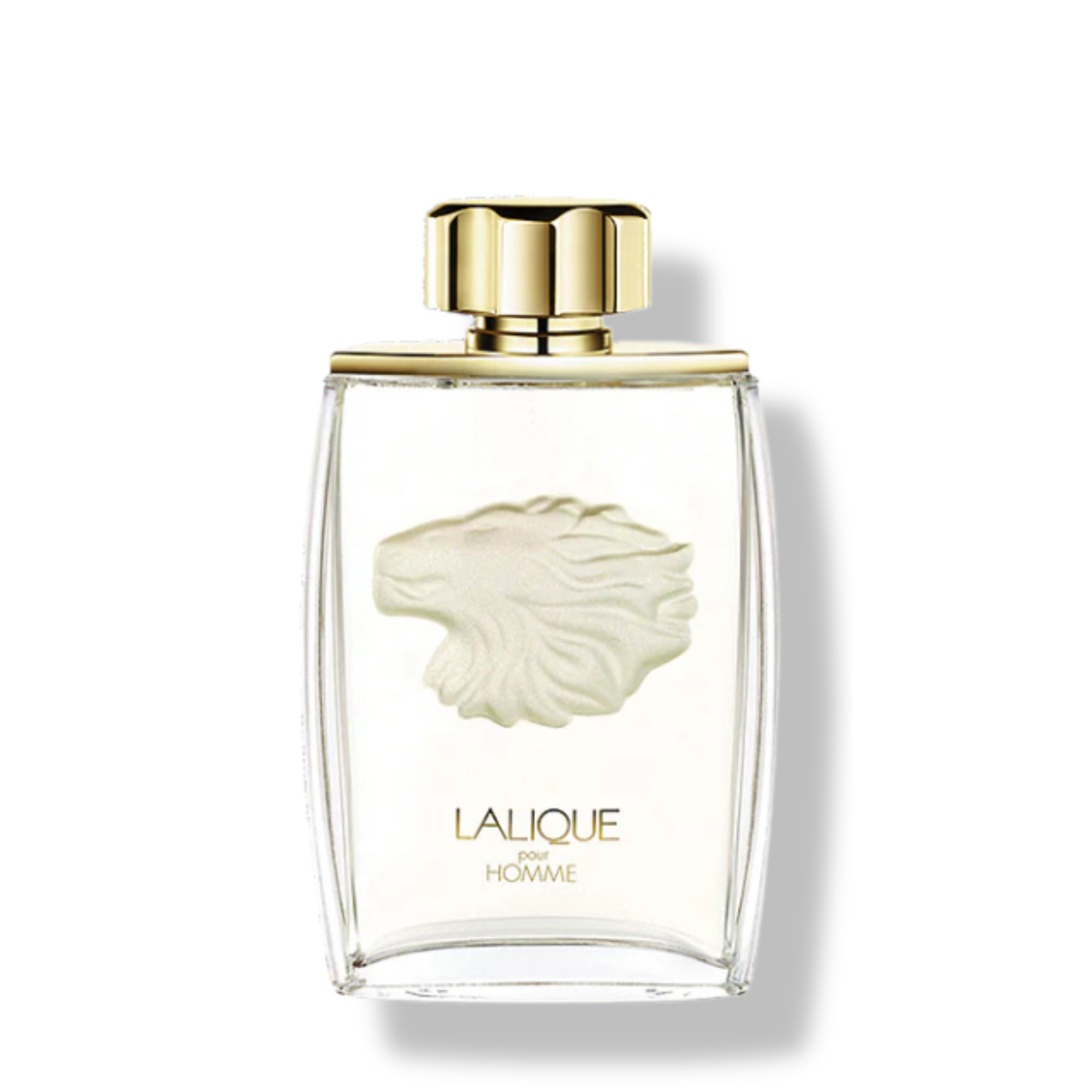 POUR HOMME