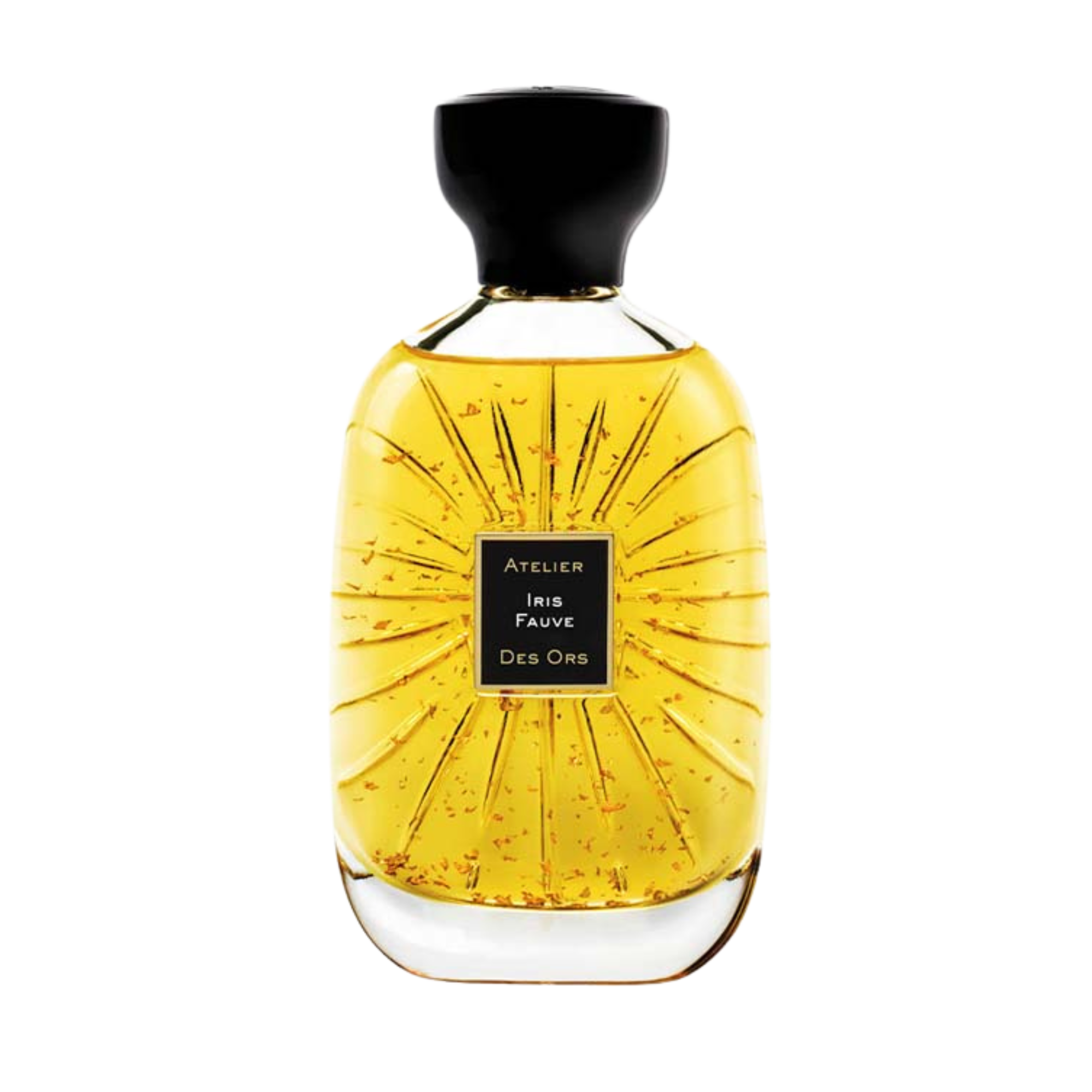 IRIS FAUVE
