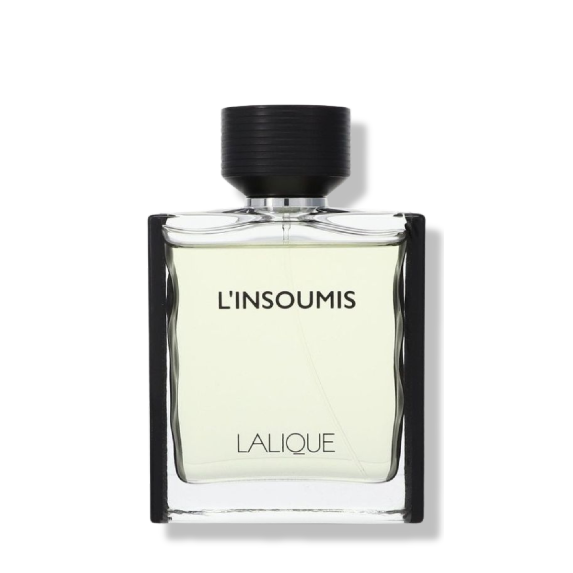 L'INSOUMIS
